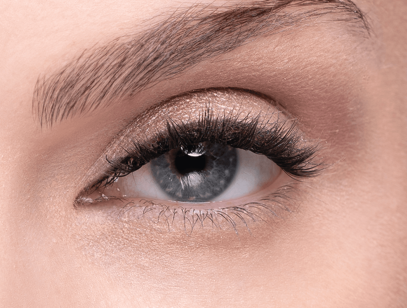 Close-up of eye with Social Butterfly lashes