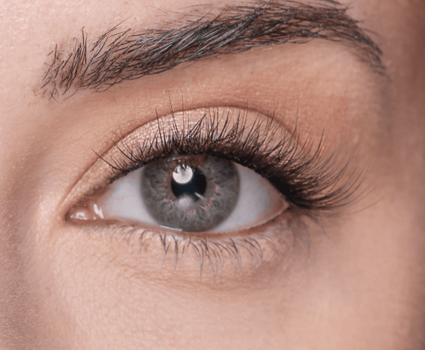 Close-up of eye wearing Ball Gown Lash Set