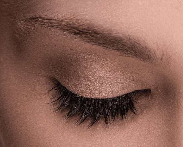 Close-up of closed eye with Social Butterfly lashes
