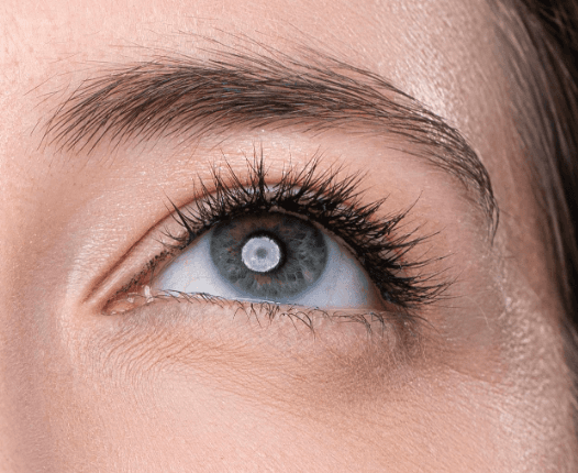 Upward gaze with Elegant Effect lashes applied