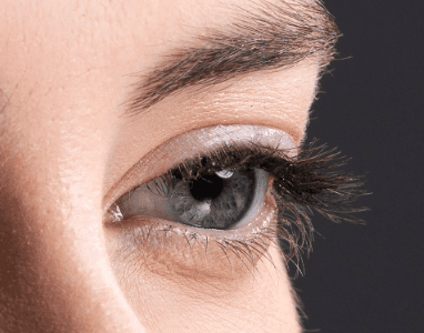 Close-up side view of Elegant Effect lashes